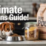 Guide to best grains for dogs 2025: vet tips for choosing healthy grain-inclusive food