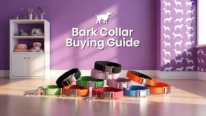 Best Bark Collars for Dogs guide