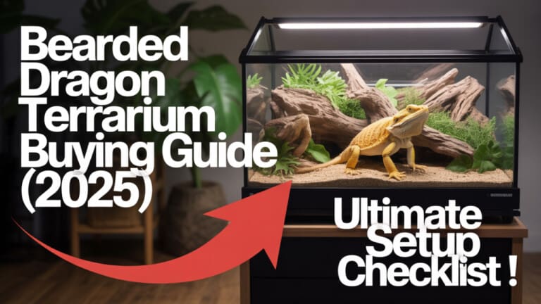 2025 Bearded Dragon Terrarium Setup Guide - Best Practices