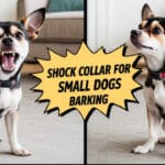 Shock Collar for Small Dogs Barking (2025)