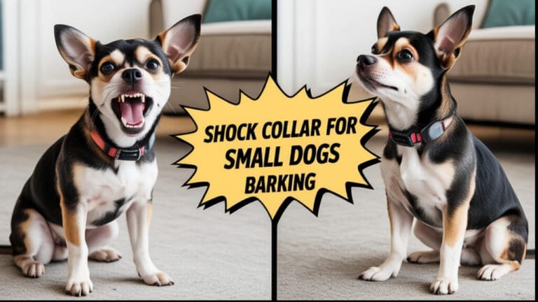Shock Collar for Small Dogs Barking (2025)